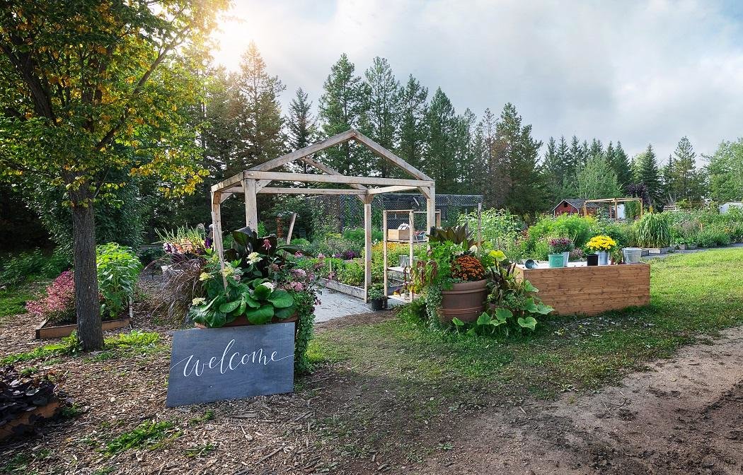 Visit Birchwood Meadows Flower Garden & UPick