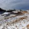 Outdoor Winter Activities in Prince Edward County