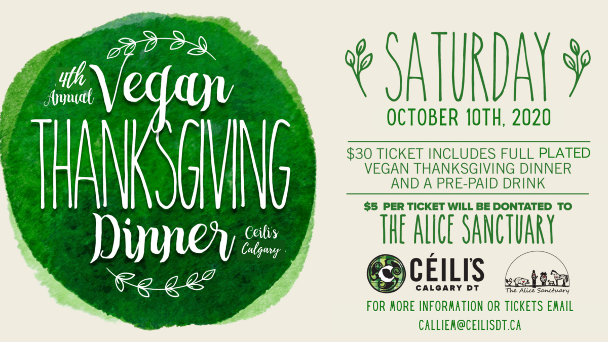 Pizza places open on thanksgiving day near me