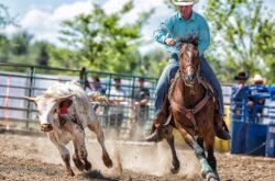 Farmers' Days Rodeo and Exhibition