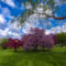 19 Gardens You Should Explore in and Around Ottawa