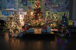 Christmas Market and Festival of Trees