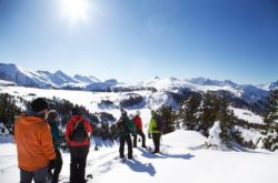 Where to Go For Scenic Snowshoeing in Alberta This Winter
