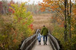 20 Family Hikes and Walks in and Around Ottawa