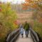 20 Family Hikes and Walks in and Around Ottawa