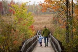 20 Family Hikes and Walks in and Around Ottawa