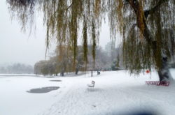 20 Outdoor Winter Activities in Vancouver