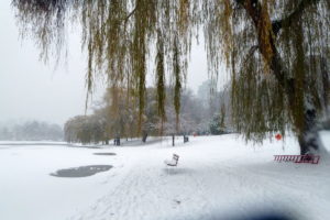 20 Outdoor Winter Activities in Vancouver