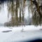20 Outdoor Winter Activities in Vancouver