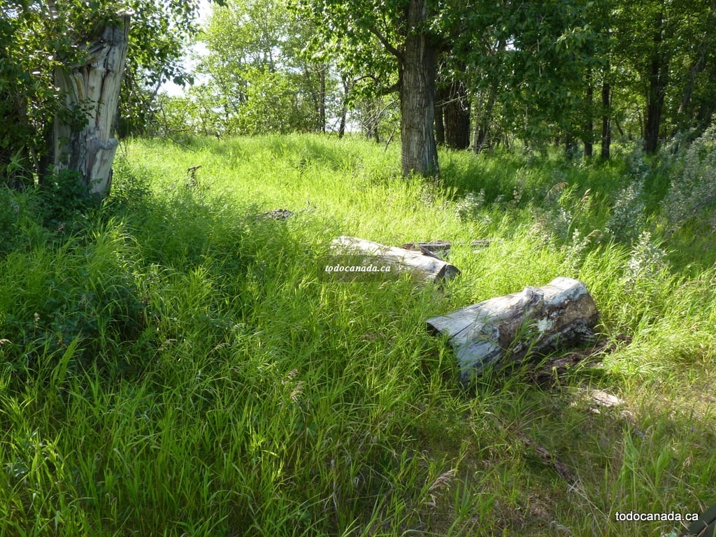Travel Guide to Fish Creek Provincial Park, Alberta, Canada
