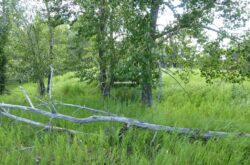Fish Creek Provincial Park