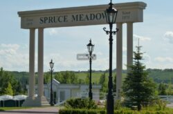 Spruce Meadows