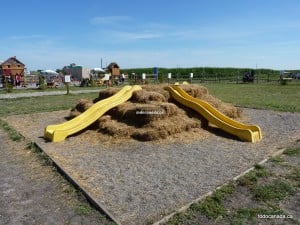 Calgary Corn Maze