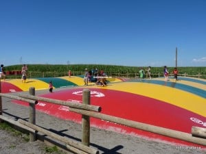 Calgary Corn Maze
