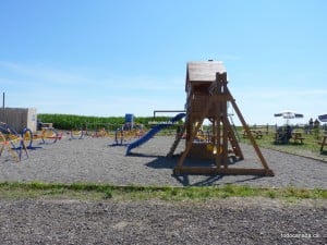 Calgary Corn Maze
