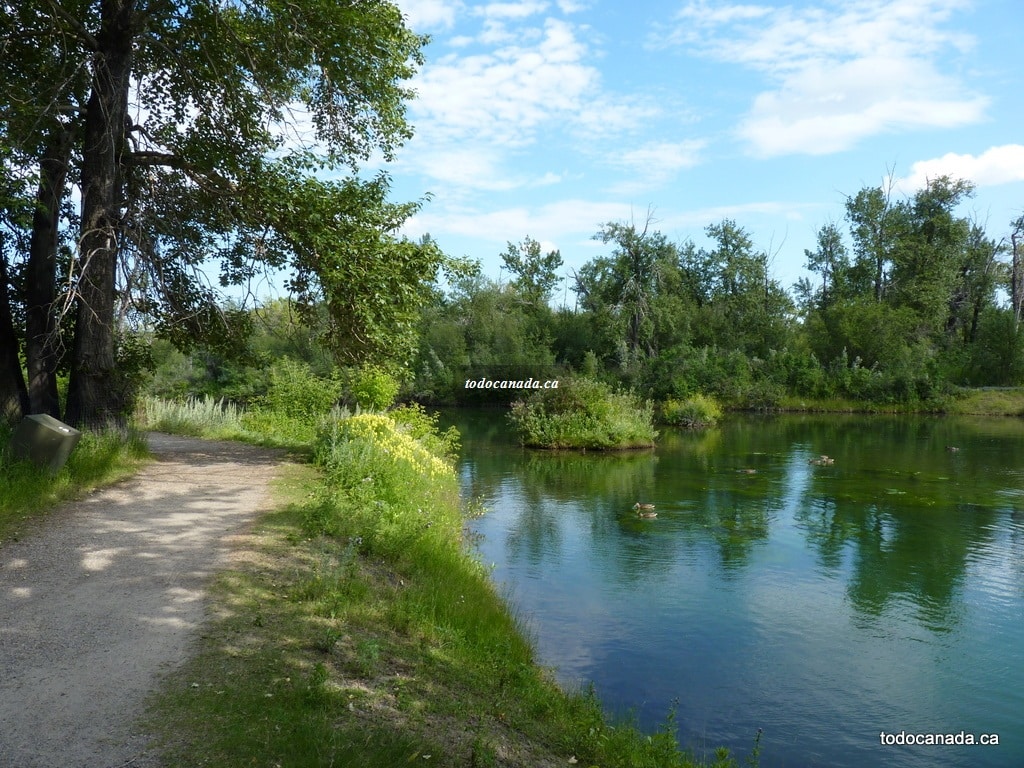 Inglewood Bird Sanctuary Calgary