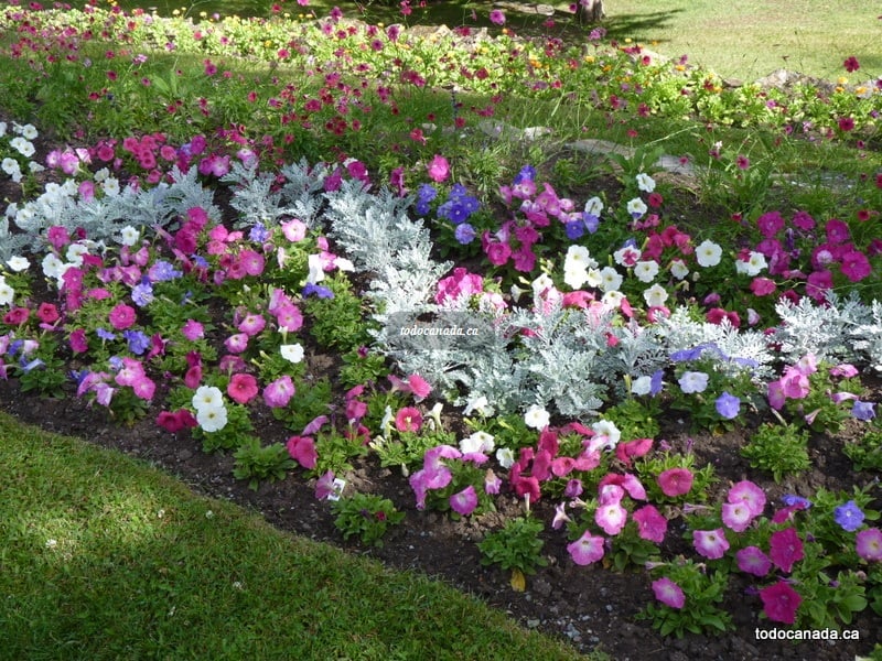 Reader Rock Garden Calgary