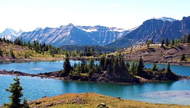 Sunshine Meadows