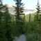 easy hiking Banff