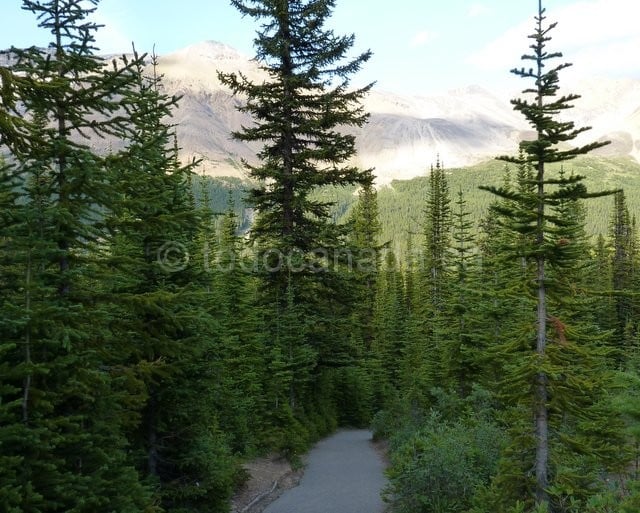 easy hiking Banff