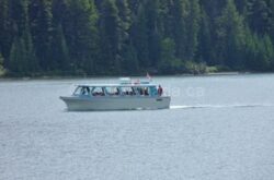Boat Cruise Maligne Lake