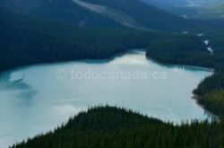 Peyto Lake