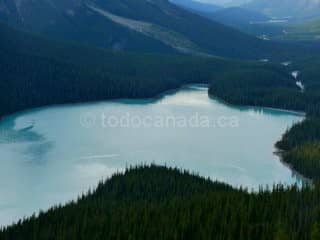 Peyto Lake