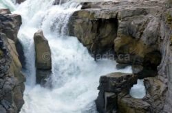 sunwapta falls Icefields parkway Jasper