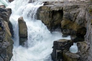 sunwapta falls Icefields parkway Jasper