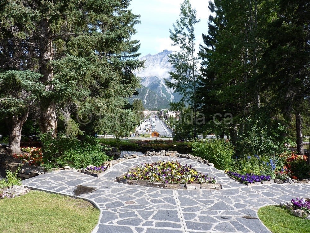 Banff and Lake Louise One Day Tour
