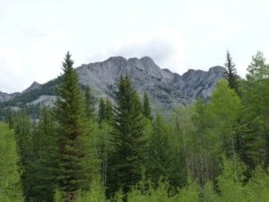 Bow valley parkway