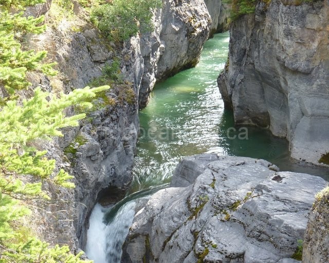 Maligne Canyon