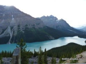 Icefields parkway