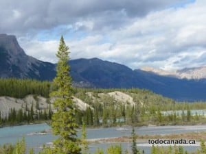Icefields parkway