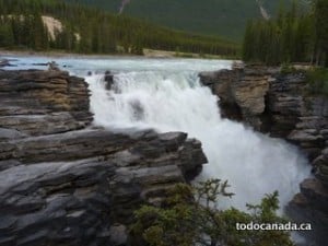 Icefields parkway