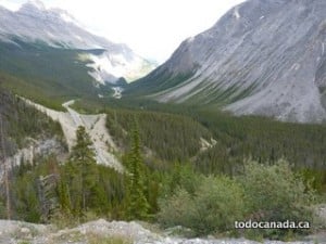 Icefields parkway