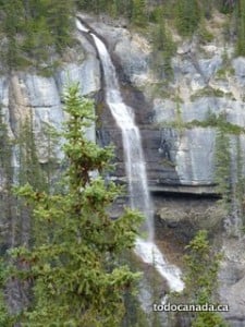 Icefields parkway