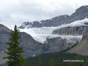 Icefields parkway