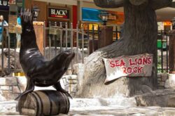 Sea Lions Rock, West Edmonto n Mall