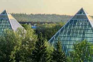 Unusual Attractions: 10 Unique Reasons to Visit Edmonton