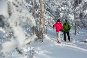 Free Admission Day: Sépaq Winter Open House