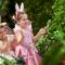 The Enchanted Garden