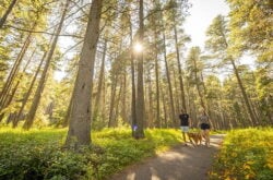 Sask Parks Marks National Trails Day With Free Admission