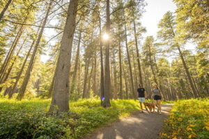 Sask Parks Marks National Trails Day With Free Admission