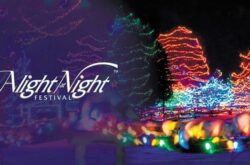 Alight at Night