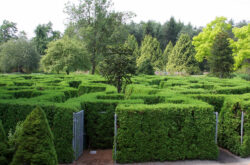 25 Bucket List Worthy Nature Attractions In and Around Vancouver
