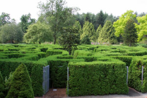 25 Bucket List Worthy Nature Attractions In and Around Vancouver