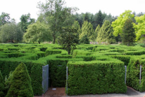 25 Bucket List Worthy Nature Attractions In and Around Vancouver