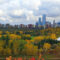 15 Date Ideas For This Fall in Edmonton