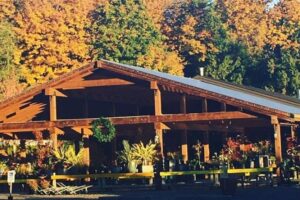 25 Date Ideas in Abbotsford